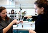 Nasz udział w projekcie: „Misja MED: odkrywaM, rozumiEm, Doświadczam” – ciąg dalszy